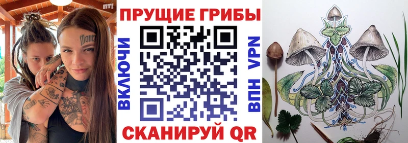 hydra вход  Советский  Псилоцибиновые грибы Psilocybe  наркота 